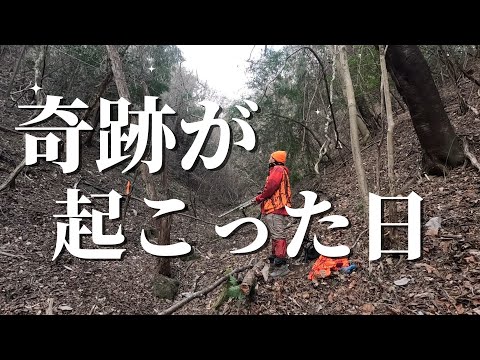 【狩獵】山に行ったら奇跡がありました！【奇跡動畫】#狩獵動畫　#狩動畫　#獵師