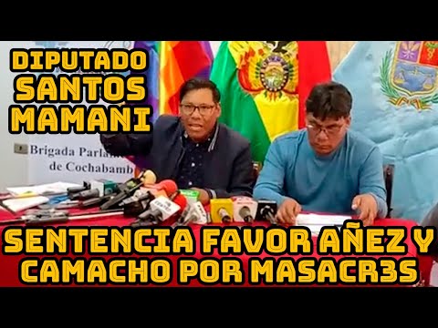 DIPUTADO SANTOS MAMANI DENUNCIA PLAN PARA LIBERAR JEANINE AÑEZ Y FERNANDO CAMACHO..
