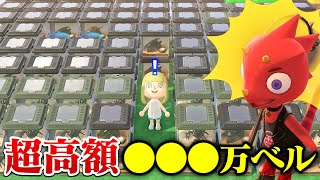 【あつ森】まさかの超高額！夏のレア虫を大量にレックスに売ってみたらすごい金額になった【あつまれどうぶつの森 るいぼす島編】
