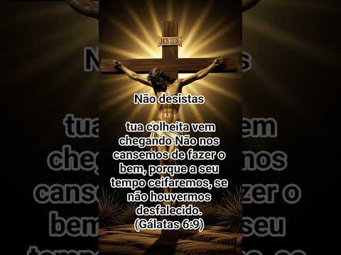 Não desista sua colheita vem.#jesus #mensagem #fe #caminhoparaumavidamelhor #amor #gratidão