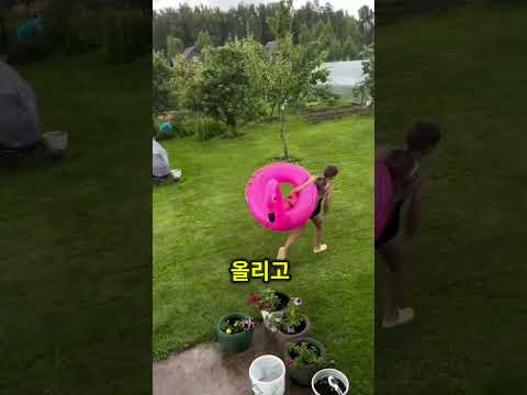 <strong>수영장</strong> 위에 거대한 투명 돔을 설치함… 😳