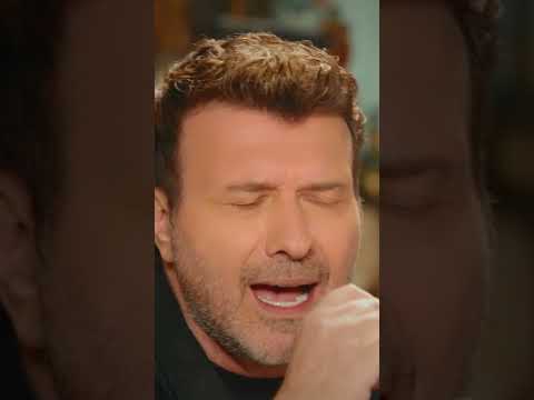 Γιάννης Πλούταρχος - Η Γάτα 🎤 ΆΛΑ...ΠΑΛΙα Live #giannisploutarchos #ploutarxos #ploutarchos #shorts