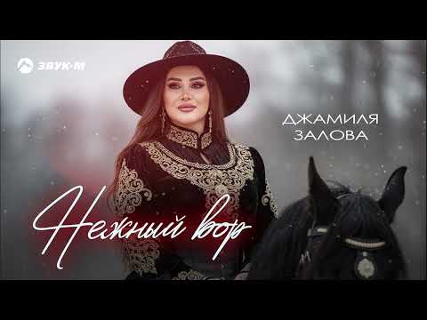 Джамиля Залова - Нежный вор | Премьера трека 2026