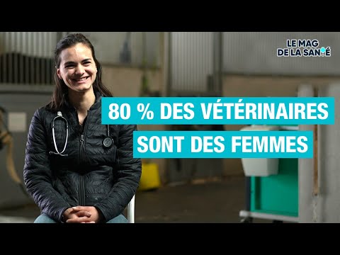 ? Femmes vétos : elles nous racontent ! 3/5 - Allo Docteurs