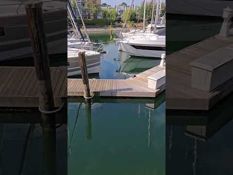 Small fishes near the boats #fish #dockside#vancouver #canada