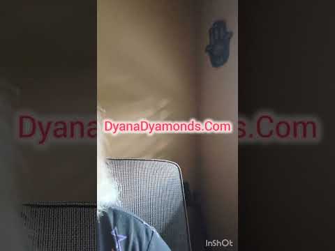 Donnas Ranch Updates. What's up? #donnasranch #loveranch #dyanadyamonds #elko #nevada