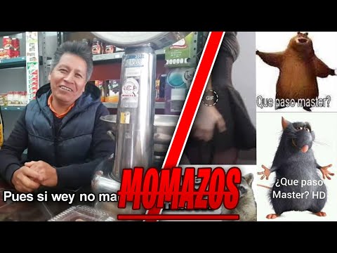 Top mejores memes del 2020