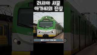 러시아 시골 아가씨의 진실