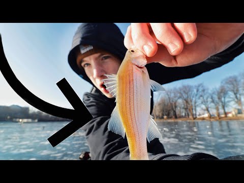 First Time Ice Fishing (Ice Lights on FIRE)