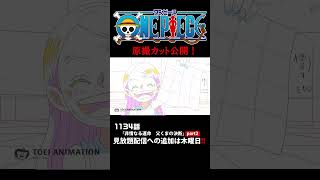 アニメ「#ONEPIECE」見放題配信への追加は木曜日‼️1134話‼️ #onepiece #原撮