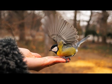 ONCE UPON A TIME - Believe In Yourself (A Motivational Story)