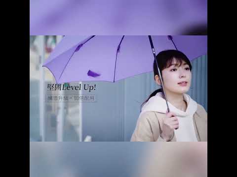 AMVEL VERYKAL 8 羽量級8骨自動傘 Automatic Umbrella