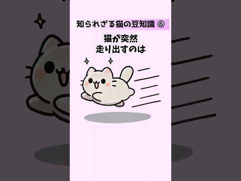 猫の動画サムネイル - 【猫の豆知識50選⑥】知られざる猫の秘密と本能的な行動をノンストップで大公開！ #猫 #雑学 #豆知識