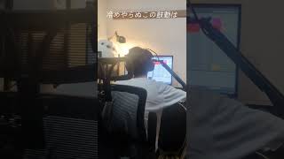 夏の音「跳亜」