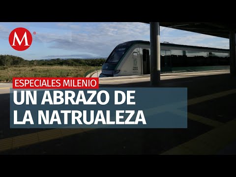 Tren Maya: Mar de Selva, de Escárcega a Bacalar | Especiales Milenio