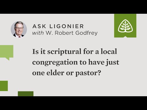 Is it scriptural for just one elder or pastor to be the overseer of a local congregation?