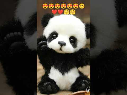 top 10 cute animal 😍🤩😊😊🤗❤️😊😍😍😍🤩❤️❤️✨✨❤️😊 #gulbadan