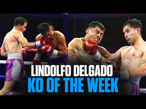 Lindolfo delgado is a force at junior welterweight