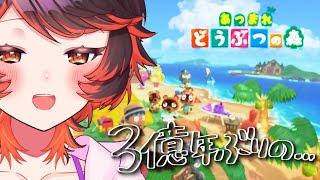 【#あつ森 】島どうなってる？？？？？？？？【#Vtuber #じいまご 真心よいこ】