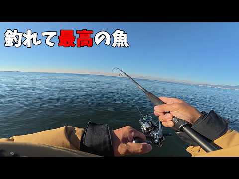 最高のお土産ができた日