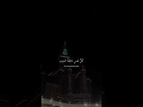 سورة العنكبوت | عبدالرحمن مسعد