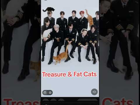 Treasure & cats #kpop #fypシ #treasure #girl #makeup #cats #viralvideos #blackpink #songs #music