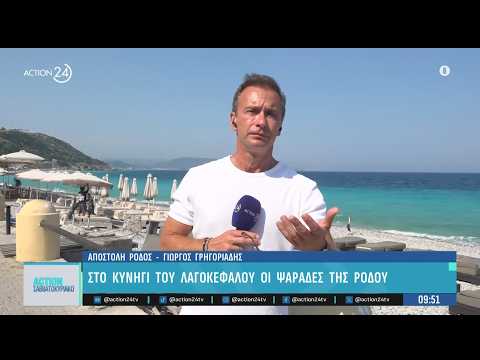 Ο Γιώργος Γρηγοριάδης στη Ρόδο: Στο κυνήγι του λαγοκέφαλου οι ψαράδες - Ποιοι οι κίνδυνοι