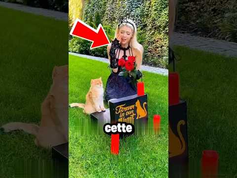 Elle a perdu celui qu'elle aimait… mais la suite va te faire pleurer 💔🐾 #shorts #viral