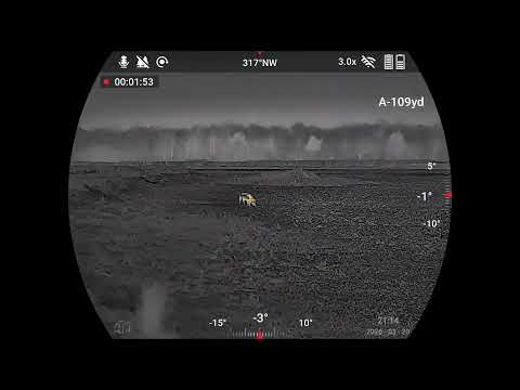 Thermal Clarity. Total Control.Wiht ThOR 6! #hoghunting #hunting #atn #thermal #wildlife