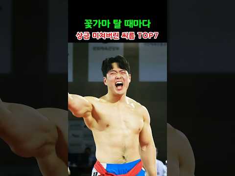 꽃가마 탈 때마다 상금 미쳐버린 씨름 TOP7