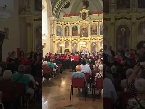 ХЕРУВИМСКА ПЕСМА, Ј. ДЕНИСОВА - диригент Биљана Петровић #херувимская #choir