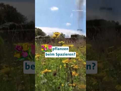 Blumen pflanzen beim Spazieren?