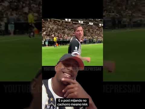 image para ilustrar o artigo