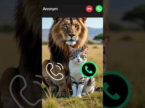 Cute Cat Calling 😮#ringtone #cat #gato #babygirl #youtubeshorts #tiger #viralvideo #mi #shorts