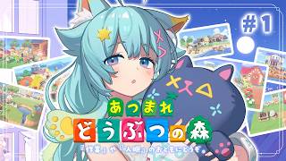 【從零開始集合吧!動物森友會】夜晚作業用BGM請享用💭🌙｜Rumi/懶貓子