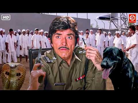 हमराज़ - राज कुमार, सुनील दत्त की धमाकेदार एक्शन ब्लॉकबस्टर मूवी | Raj Kumar Best Dialogue Scenes