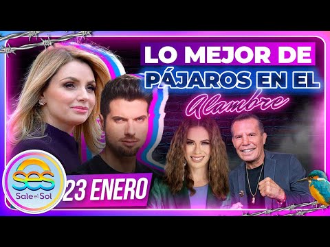 Angélica Rivera, Mauricio Martínez, Ingrid Coronado | Lo mejor de Pájaros | 23/01/2024