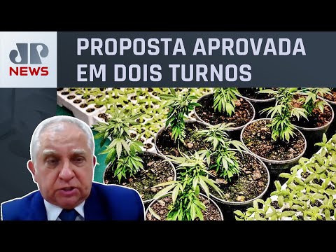 Senador Izalci Lucas analisa PEC das Drogas: “Atendemos ao pedido da população”