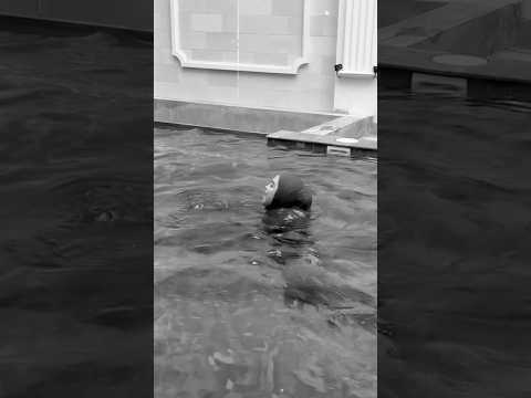 Ricis Tenggelem di Kolam 10 Meter ??.. #riaricis