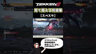 【鉄拳8】見て覚える用語集【スぺスタ】