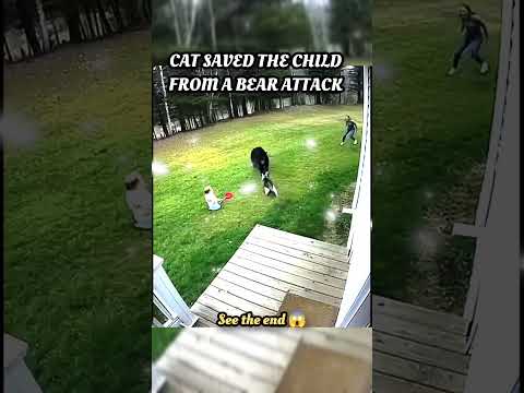 wait for end 😱 #trending#animals#wildlife#lion#shorts#youtube