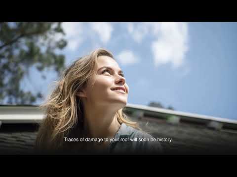 AAAC Wildlife Removal - Palm Beaches - Raccoon Pest Removal Lake Worth
