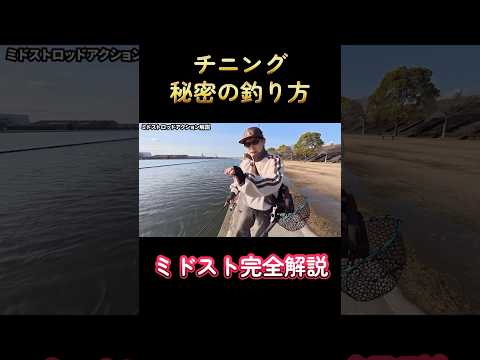 高校生が秘密の釣り方教えます【ミドスト】【チニング】