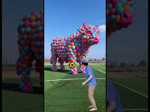 The mascot vibrato assistant placed on the football field is popular, co-produced, creative