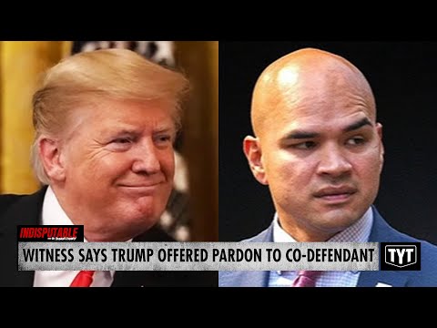 Major Witness Says Trump Offered Co-Defendant A Pardon To Cover Himself #IND