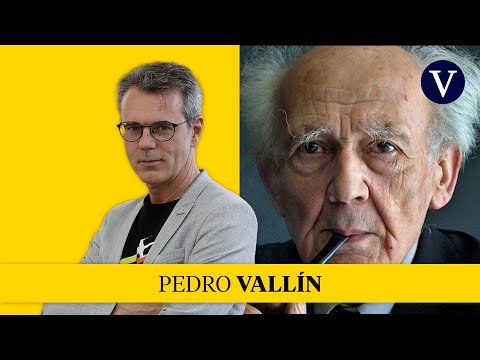 La esclerosis de Zygmunt Baumann I Pedro Vallín