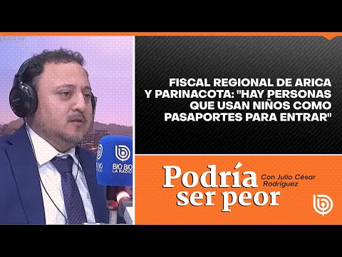 Fiscal regional de Arica y Parinacota: Hay personas que usan niños como pasaportes para entrar