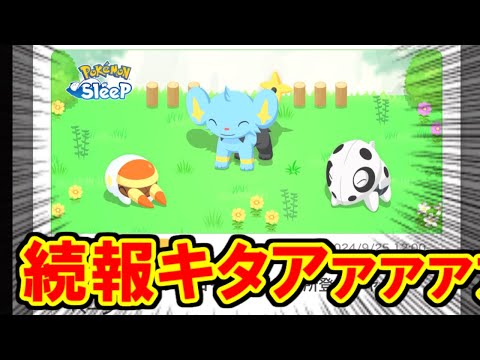 新情報きたぞおおおおおおお！！！！！！【ポケモンスリープ】