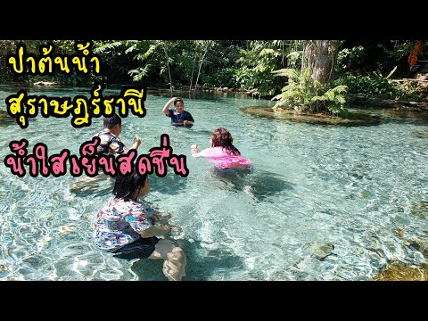 สถานที่ท่องเที่ยวสุราษฎร์ธานี- สถานที่ท่องเที่ยวสุราษฎร์ธานี-