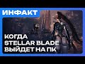   Wh40k Space Marine II, The First Descendant X Nier Automata,  Stellar Blade  …